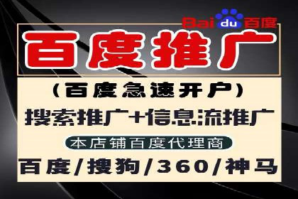 百度竞价排名案例分享：广告投放的技巧与误区